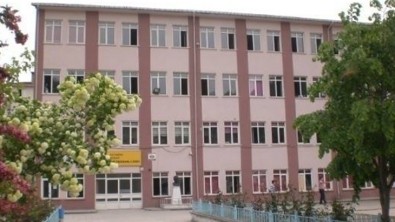 Bozkurt Çok Programlı Lisesi