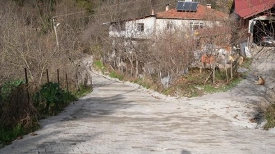 Çakmak Sokak Yolu Parke Kaplandı