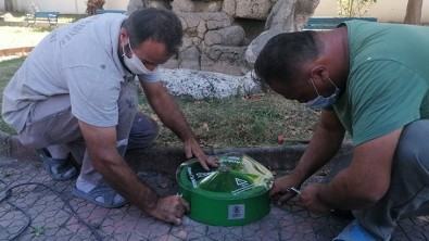 Can Dostlarımız İçin Mama ve Su Odakları Yerleştirdik