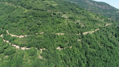 Şen Mahalle'de Yol Açma Çalışmalarımız Devam Ediyor