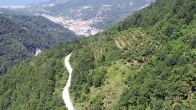 Yukarı Hene ve Beşpınar Semti Yollarının Beton Kaplama Çalışmaları Tamamlandı