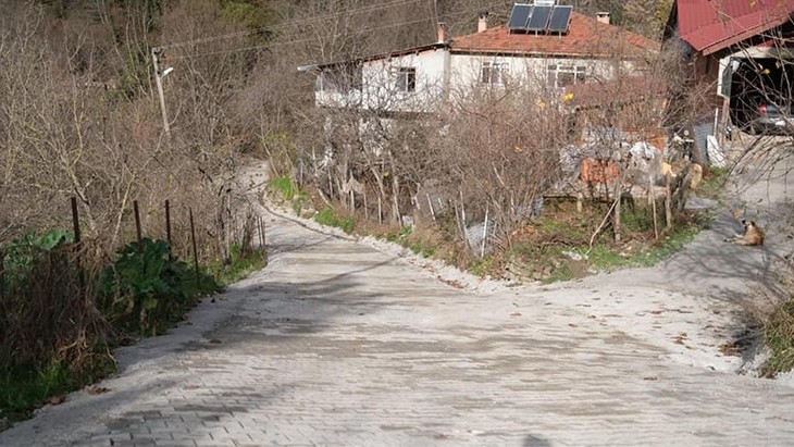 Çakmak Sokak Yolu Parke Kaplandı