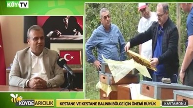 Belediye Başkanımız Muammer Yanık'ın Köy TV'de yayınlanan Kestane Balı ve Ağaçları Konulu Röportajı