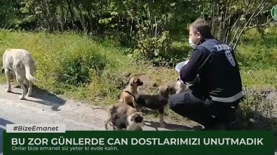 Can Dostlarımız Bize Emanet