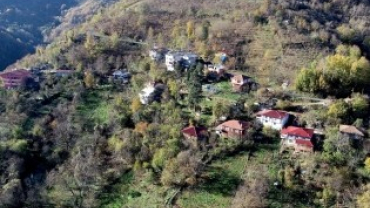 Şen Mahalle