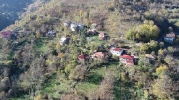 Şen Mahalle