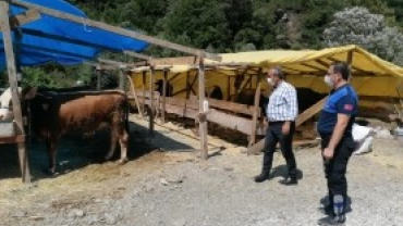 Belediye Başkanımız Kurban Satış ve Kesim Yeri’nde İncelemelerde Bulundu