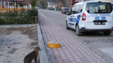 Hafta Sonu Sokağa Çıkma Yasağında Görev Başındaydık