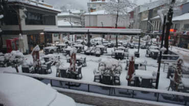 Belediye Çınar Kafe ve Çevre Düzenleme Projesi